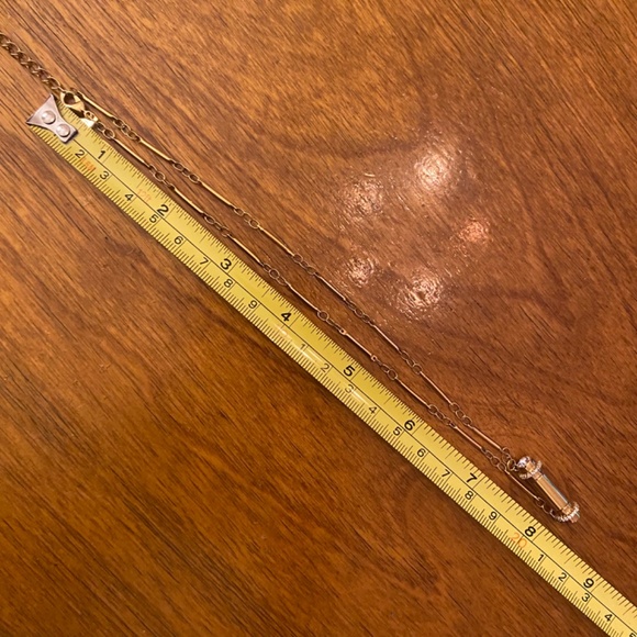 NWT Rachel Zoe Gold Chain Necklace W/Fixed Barrel Pendant Rhinestone Sides 16-18 - Picture 5 of 7